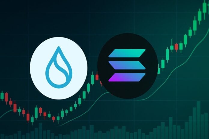sui solana crypto